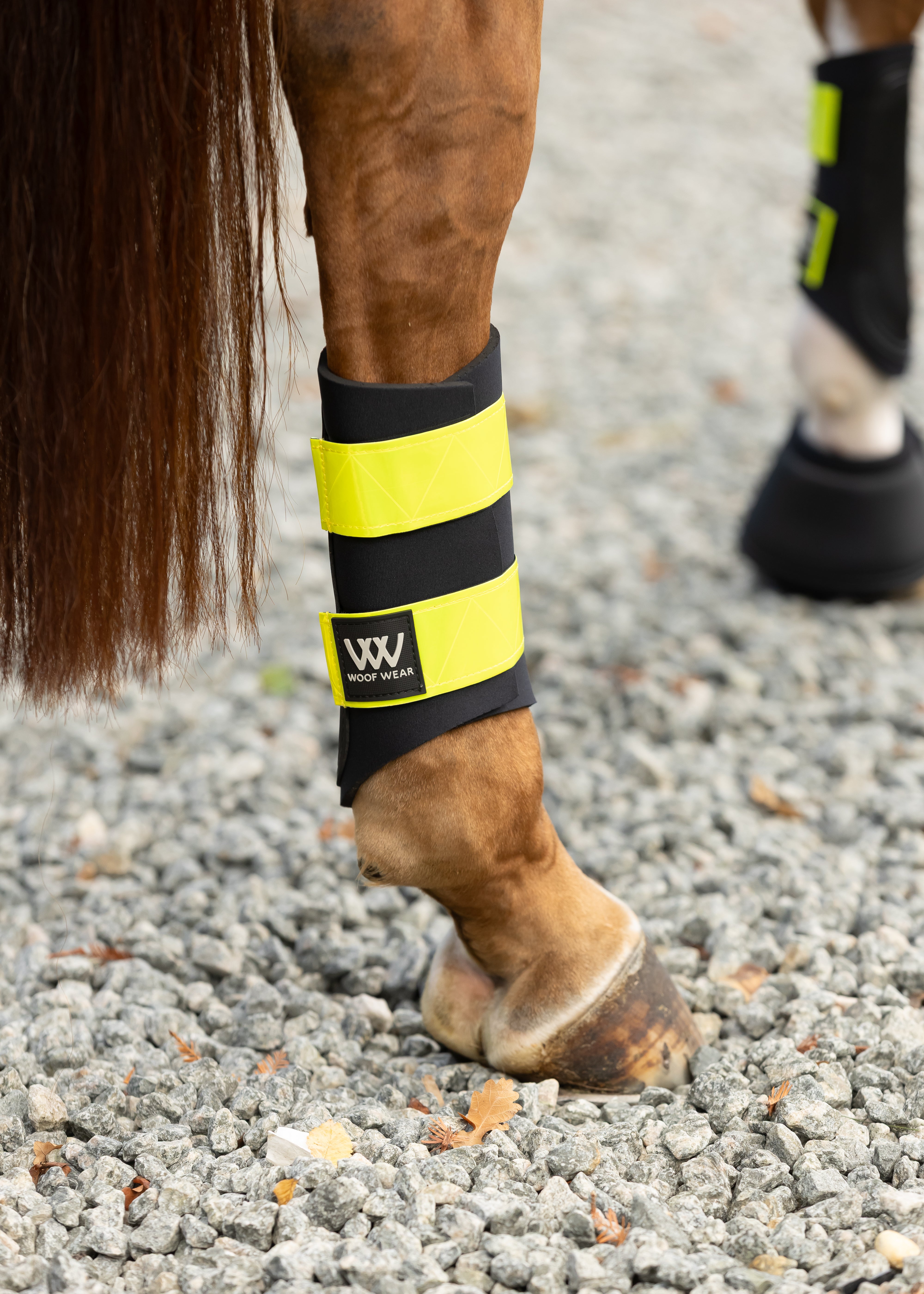 Paire De Bottes De Brossage Woof Wear Jaune - Taille Moyen Pour Cheval, Néoprène, Neuves Avec étiquettes