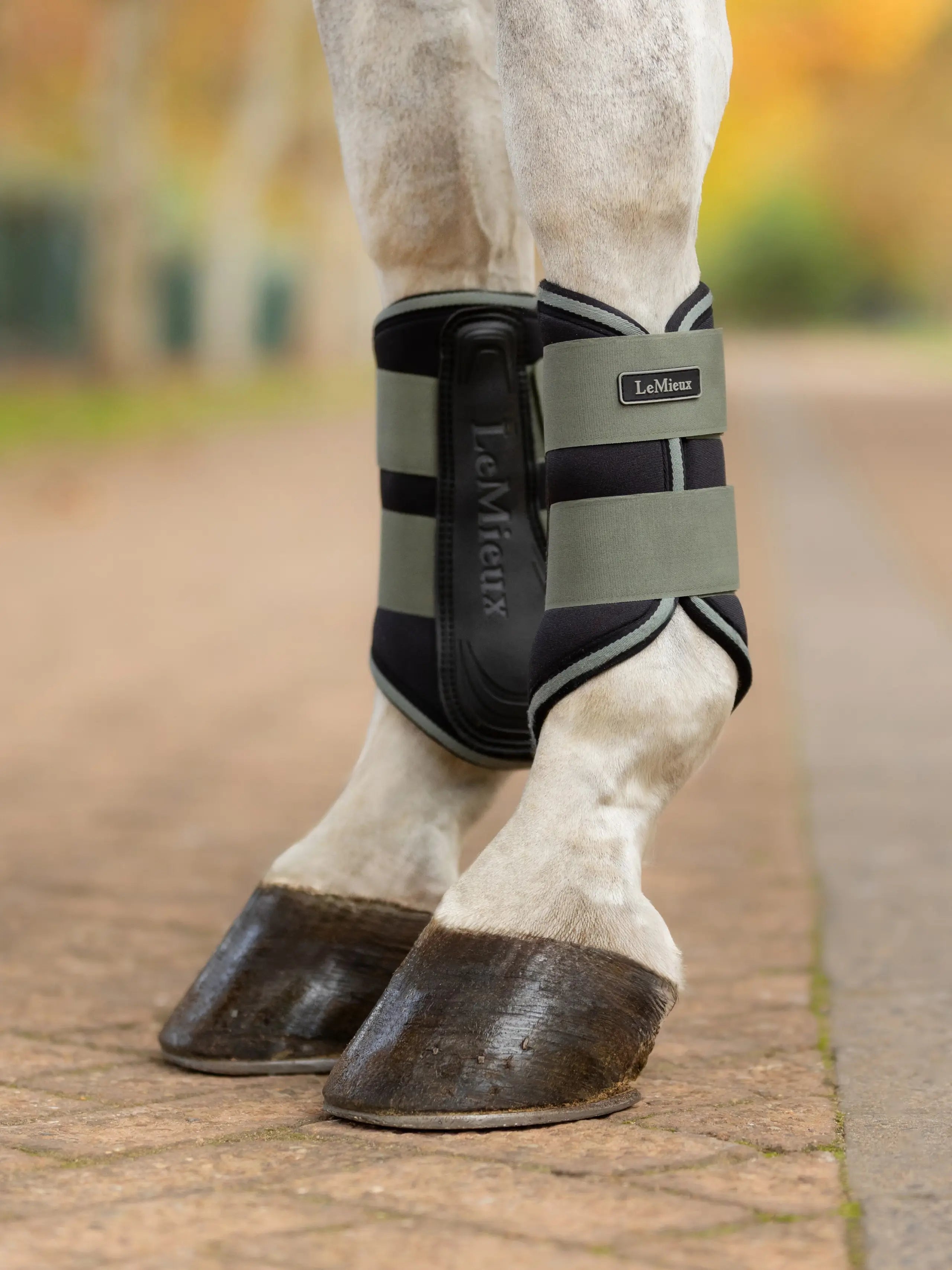 Lemieux Grafter brushing boots AW25 Colours – The Elms Equestrian