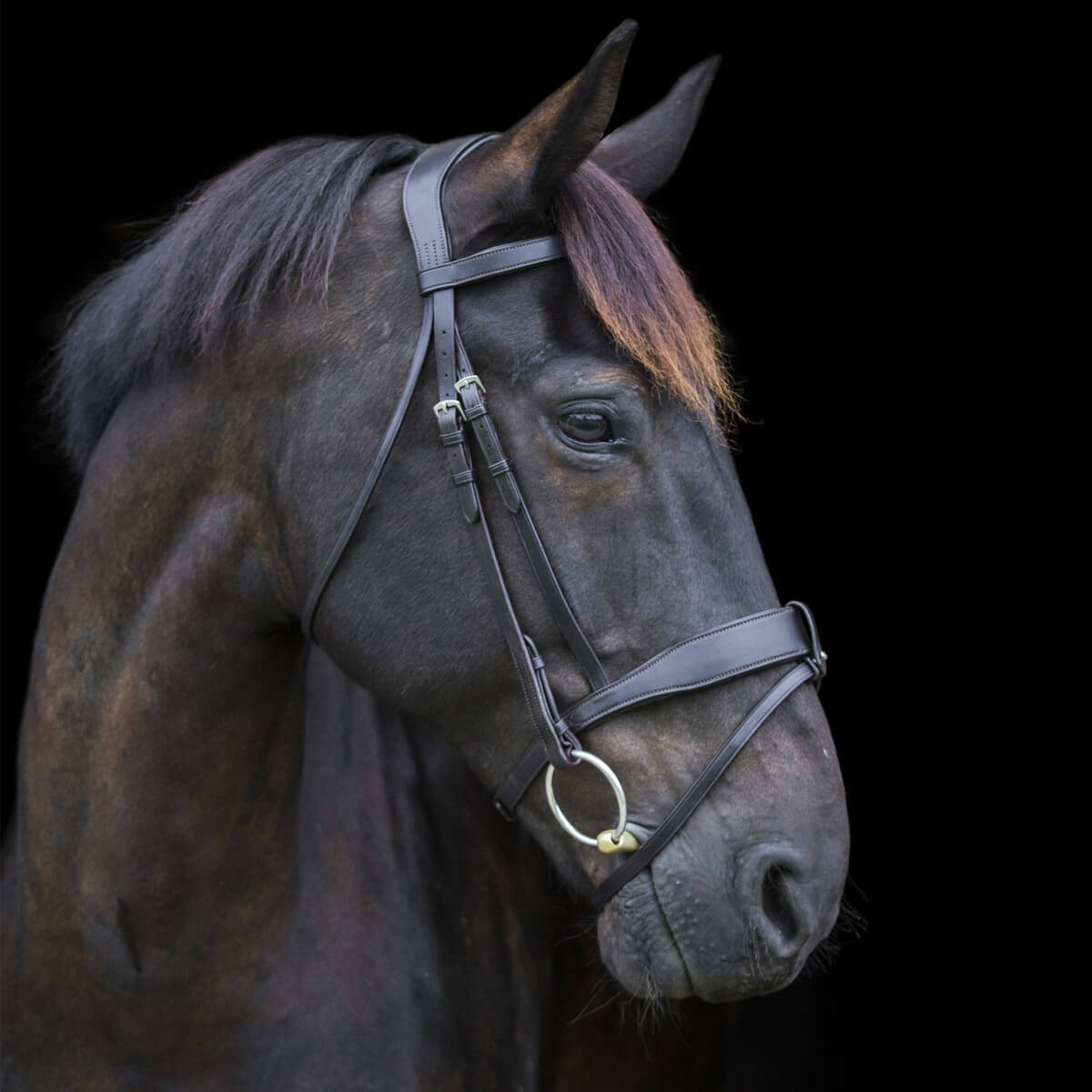 Belle & Bow Farnley Fancy Stitched Bridle (Less Reins), Mini, Small Pony, Pony & Cob