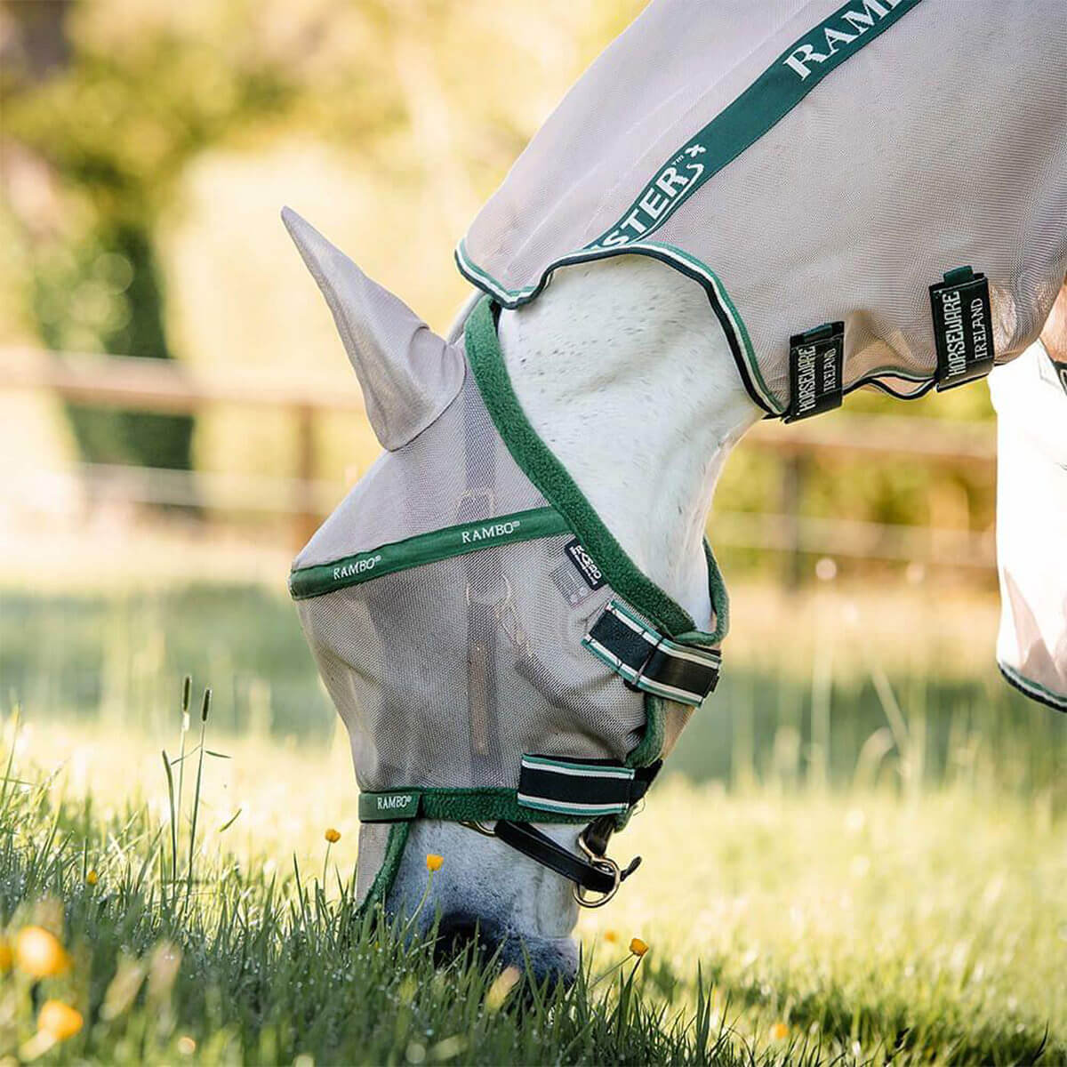 Horseware Rambo Plus Fly Mask - Green – The Elms Equestrian