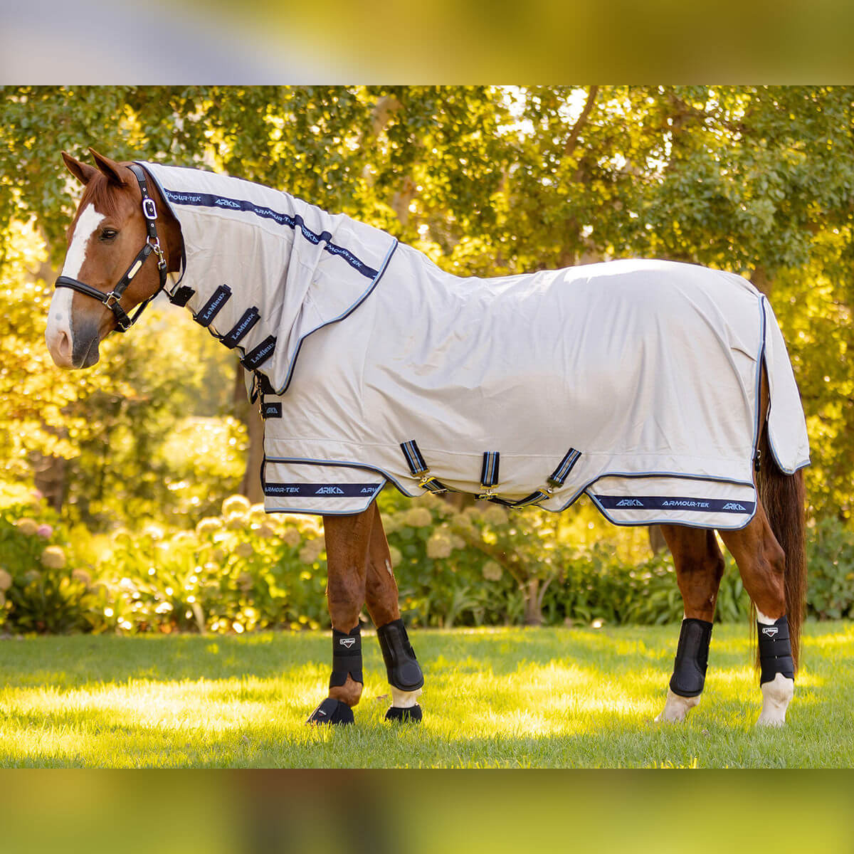 Lemieux Arika Armour-Tek Fly Rug - Navy – The Elms Equestrian