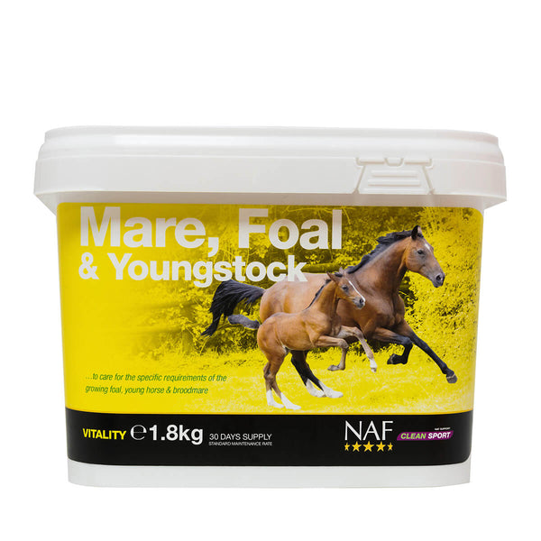 NAF Mare Foal And Youngstock