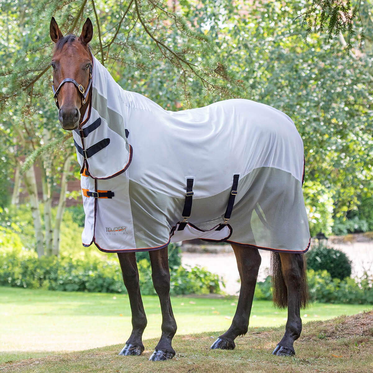 Shires Tempest Original Fly Mesh Combo Rug - White – The Elms Equestrian